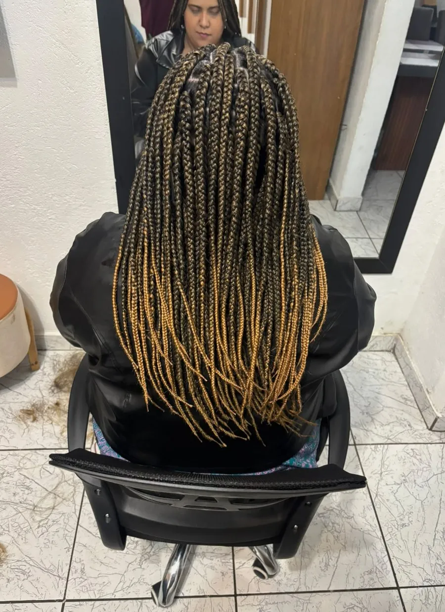 Box braids longas em degradê castanho e loiro, vista de costas